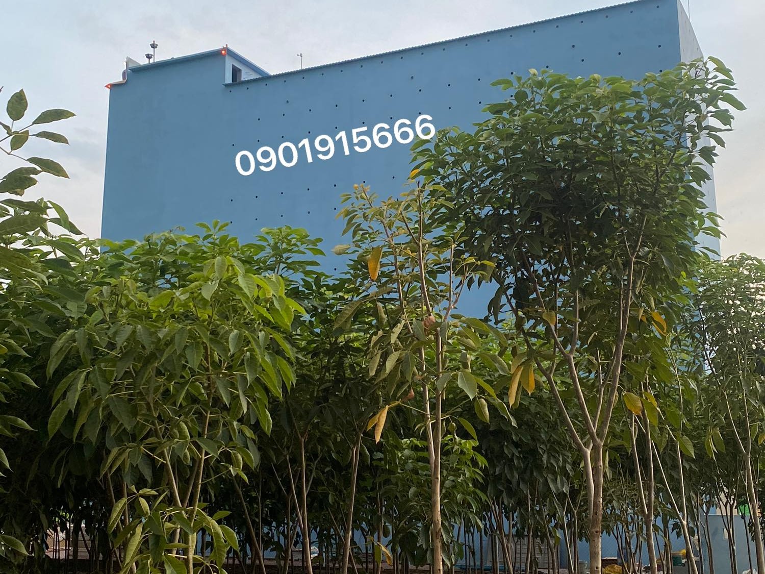 Khảo sát thực tế – Bước quan trọng không thể bỏ qua