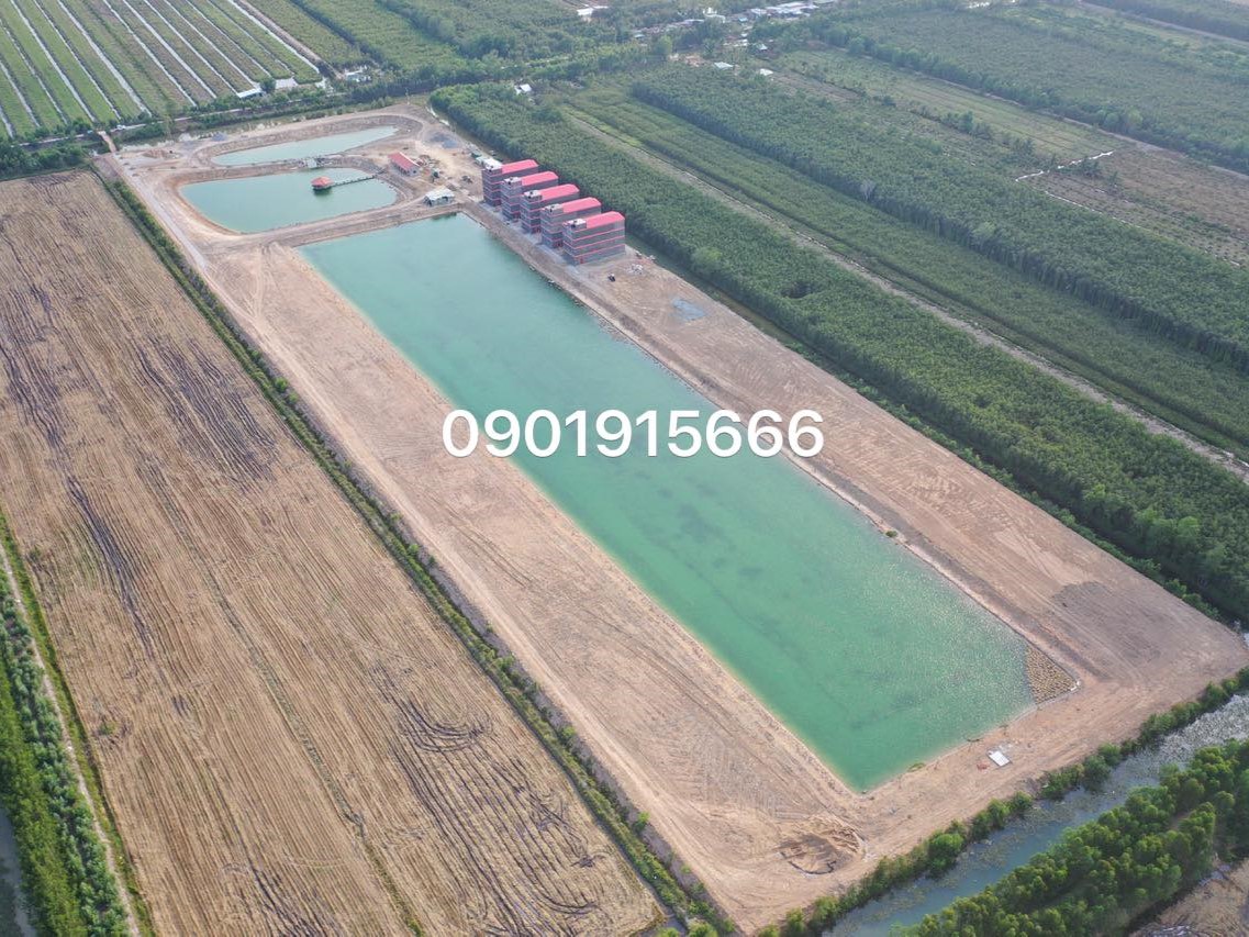 Chi phí tham khảo