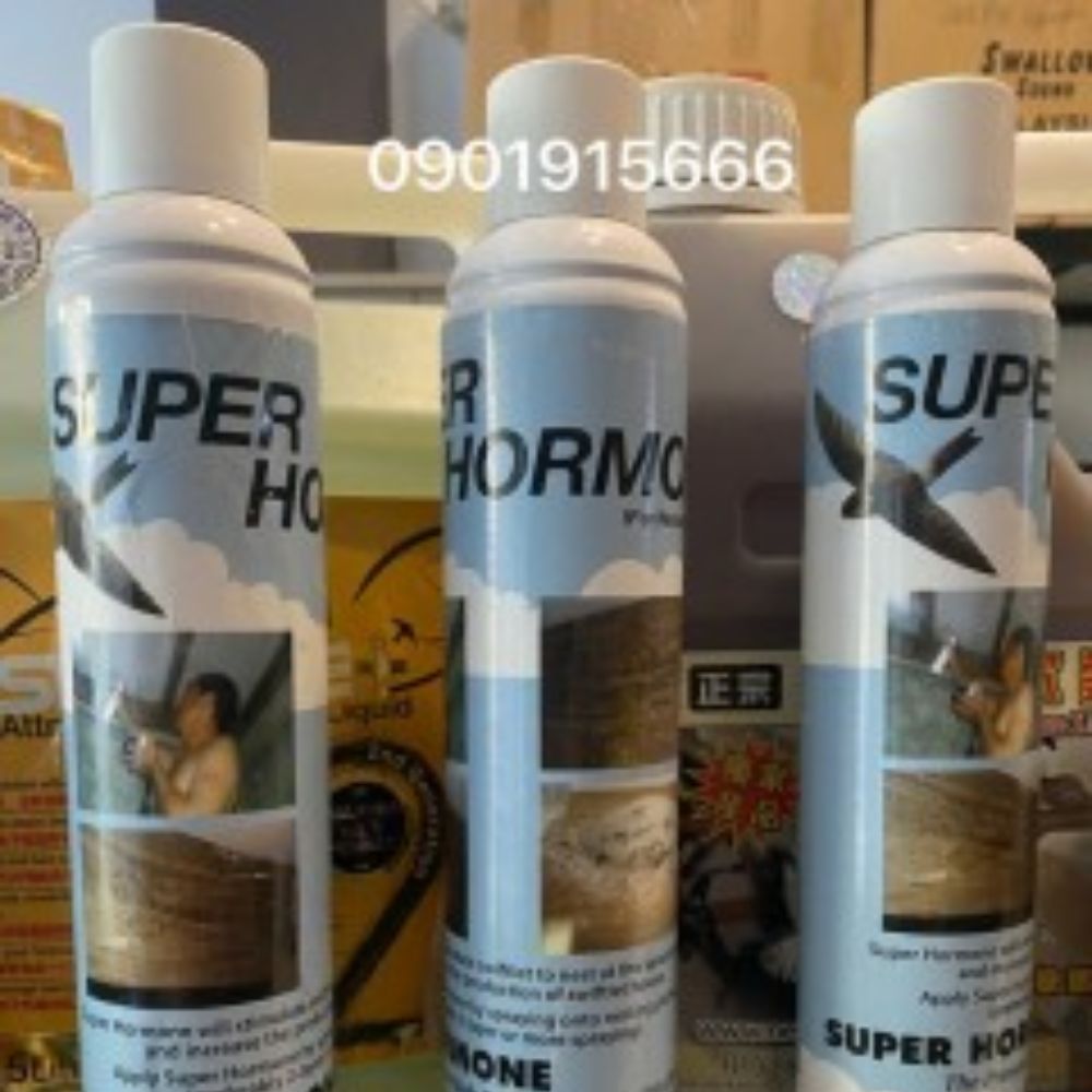 Super Hormone Liquid là gì? Bí quyết giúp tăng đàn yến nhanh chóng