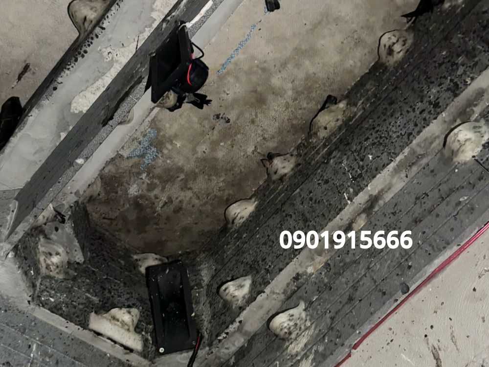 Cách sử dụng Super Hormone Liquid hiệu quả để tăng đàn yến bền vững