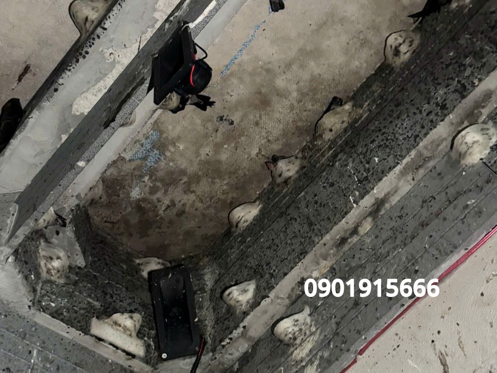 Các cách sử dụng hiệu quả cho nhà yến