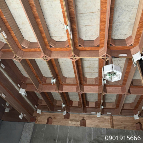 Tại Sao Âm Thanh Là Yếu Tố Quan Trọng Trong Việc Nuôi Yến?