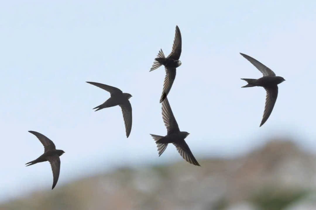 Điều chỉnh ánh sáng theo mùa