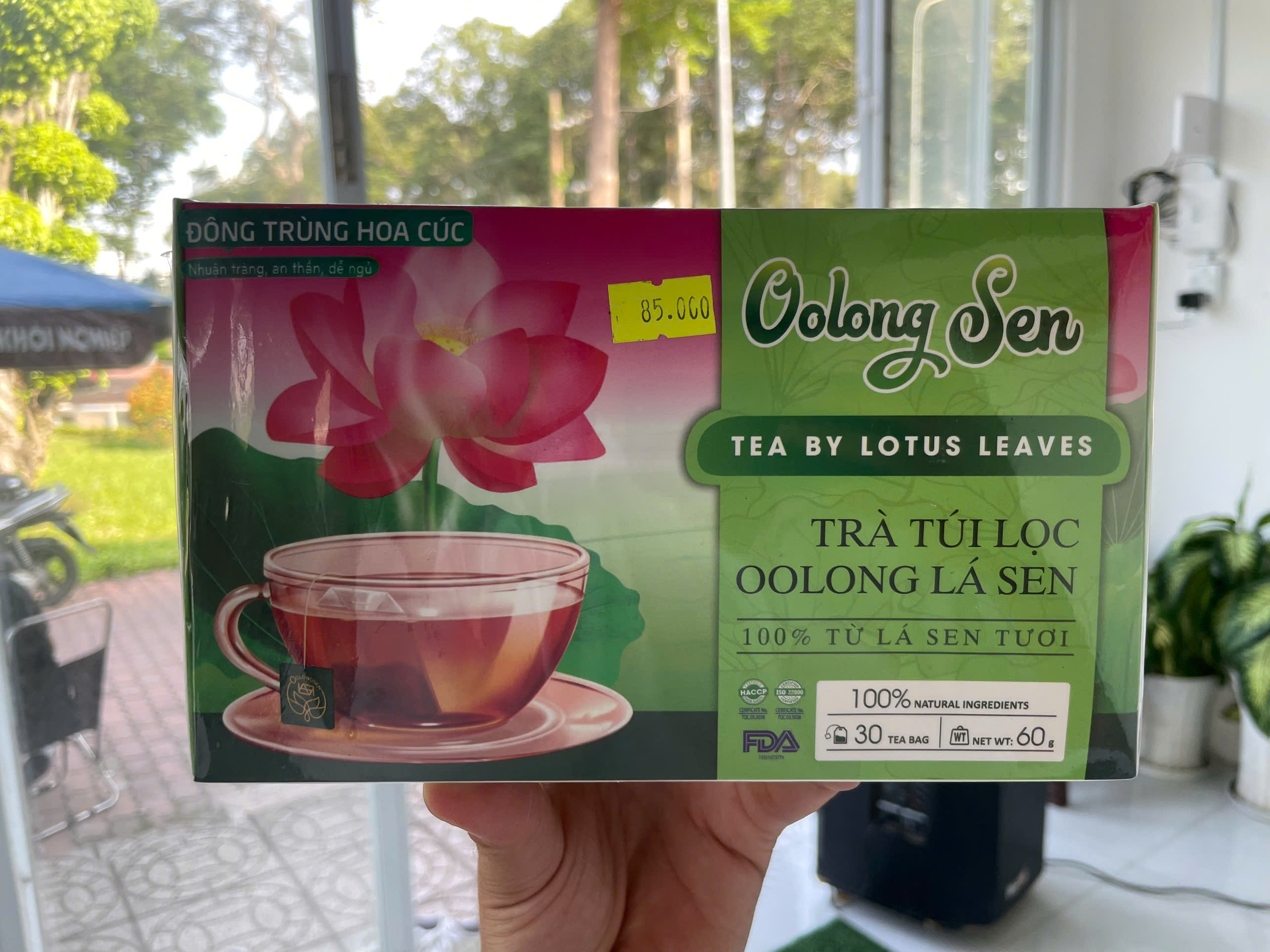 Giới Thiệu Trà Túi Lọc Oolong Lá Sen