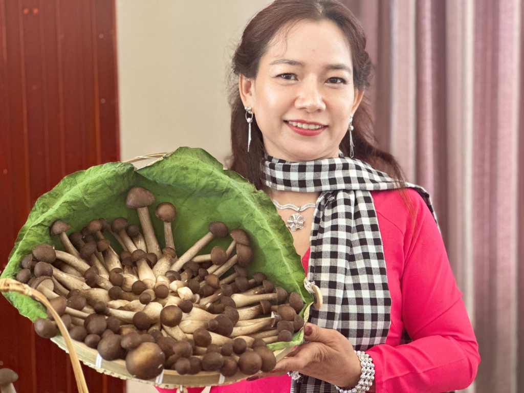II. Tầm nhìn - Sứ mệnh - Giá trị cốt lõi