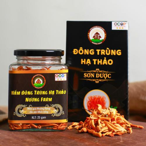 Nấm Đông Trùng Hạ Thảo Sấy Thăng Hoa Hiền Nương Farm 25gr - Đặc Sản An Giang