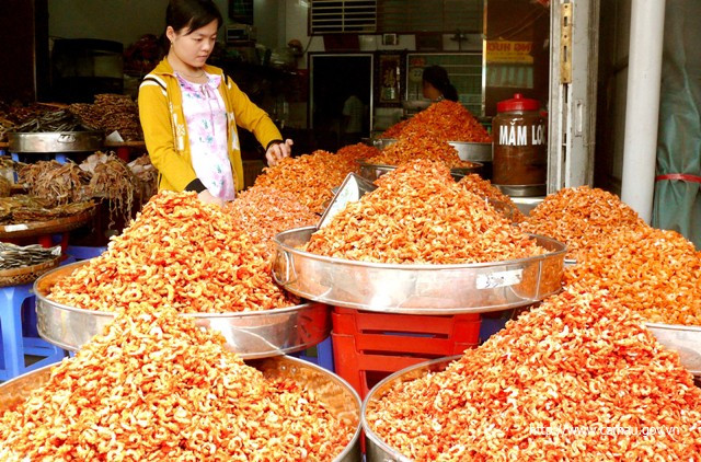 Giới thiệu