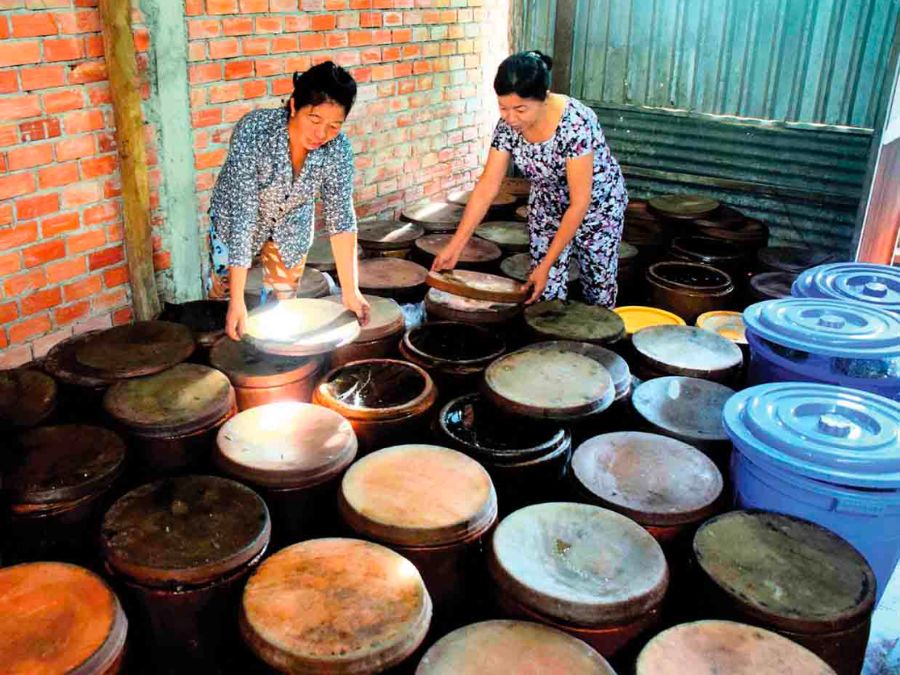 Lịch sử hình thành