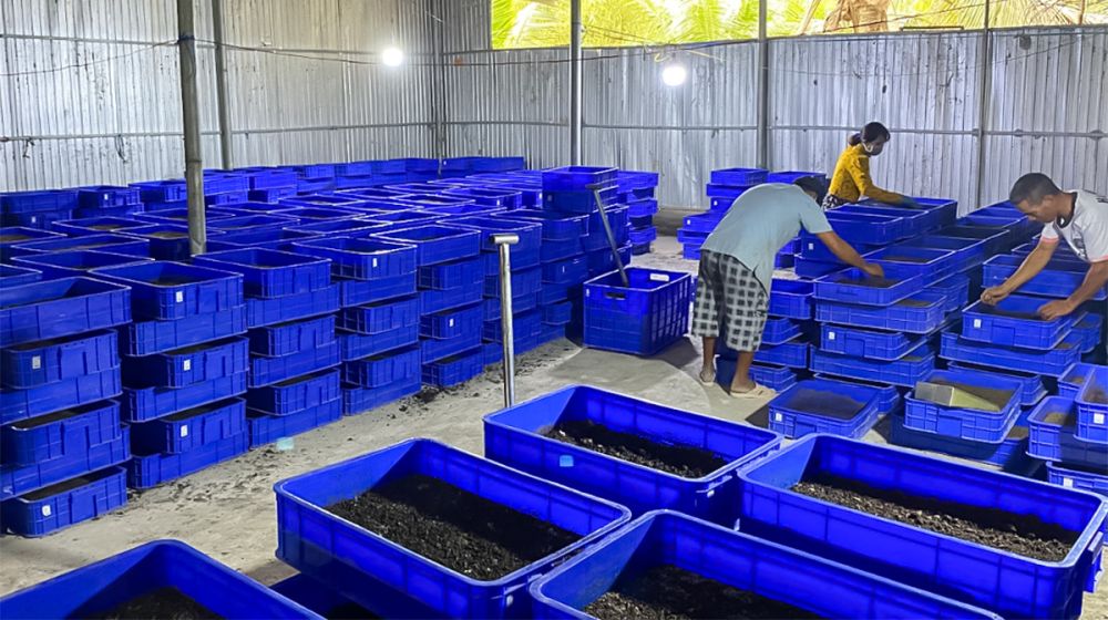 Khởi nghiệp xanh từ tài nguyên địa phương hành trình sáng tạo vì môi trường và cộng đồng
