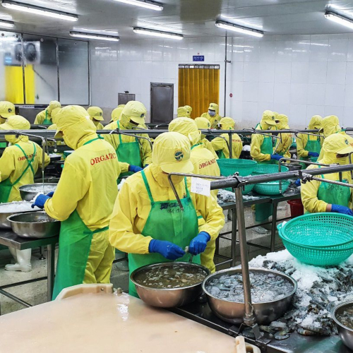 Cà Mau Hỗ Trợ Doanh Nghiệp Tháo Gỡ Khó Khăn, Thúc Đẩy Hoạt Động Sản Xuất Kinh Doanh