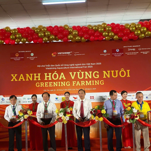 Nâng Cao Hiệu Quả Xúc Tiến Đầu Tư, Thương Mại Thành Phố Cần Thơ 6 Tháng Qua