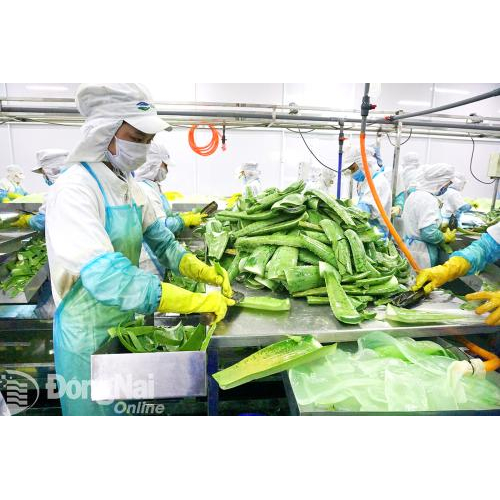 Doanh nghiệp luôn mong sự đồng hành hỗ trợ từ địa phương