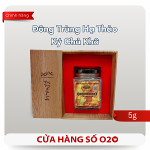 Đông Trùng Hạ Thảo Ký Chủ Khô