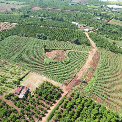 Dự Án: LakeView Phúc Thọ