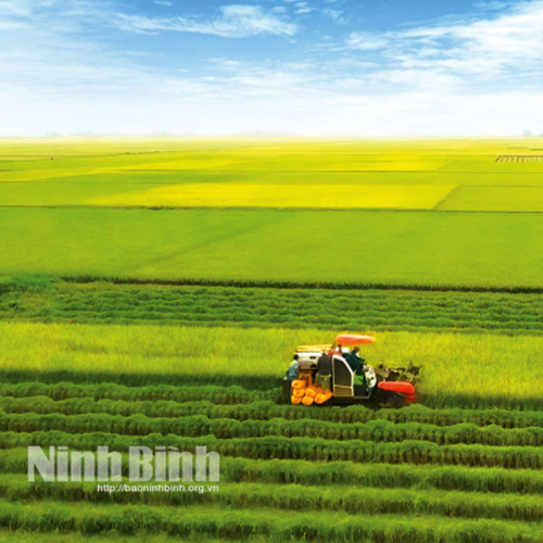 Chương Trình Xúc Tiến Đầu Tư Tỉnh Ninh Bình Năm 2025