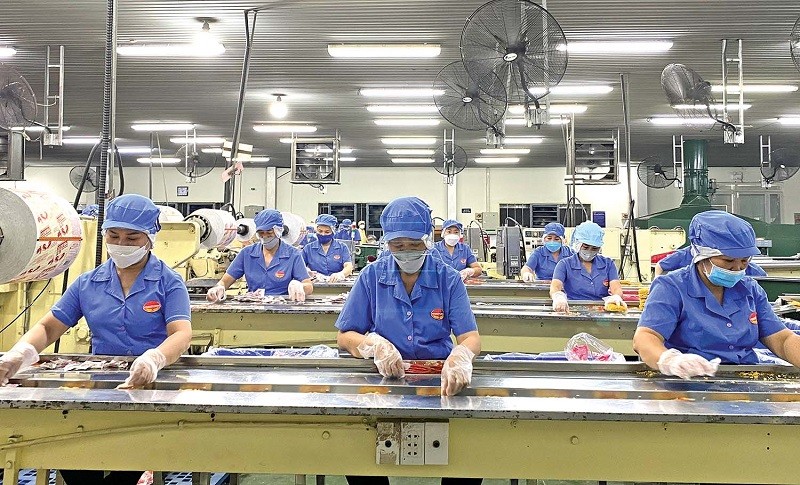 Quảng Ngãi: Tạo môi trường thuận lợi, hỗ trợ doanh nghiệp phát triển bền vững