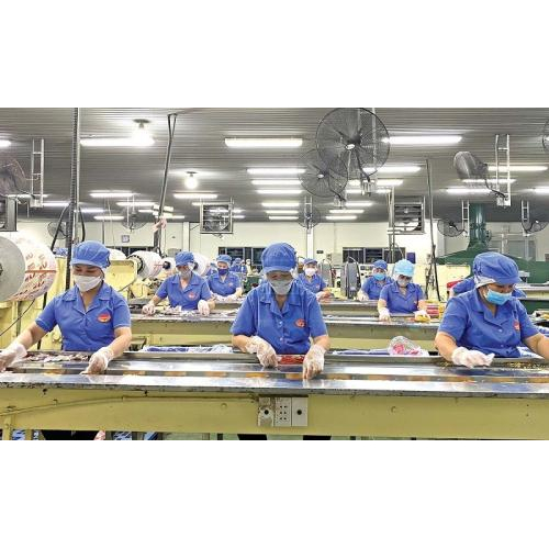 Quảng Ngãi: Tạo môi trường thuận lợi, hỗ trợ doanh nghiệp phát triển bền vững