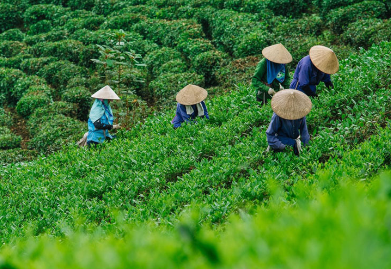 Những trải nghiệm khi ghé thăm