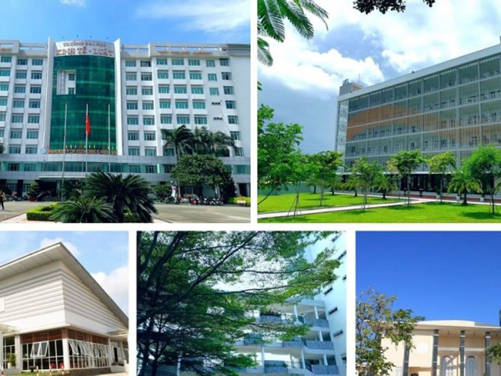 6. Hợp tác quốc tế, hội nhập và định hướng phát triển