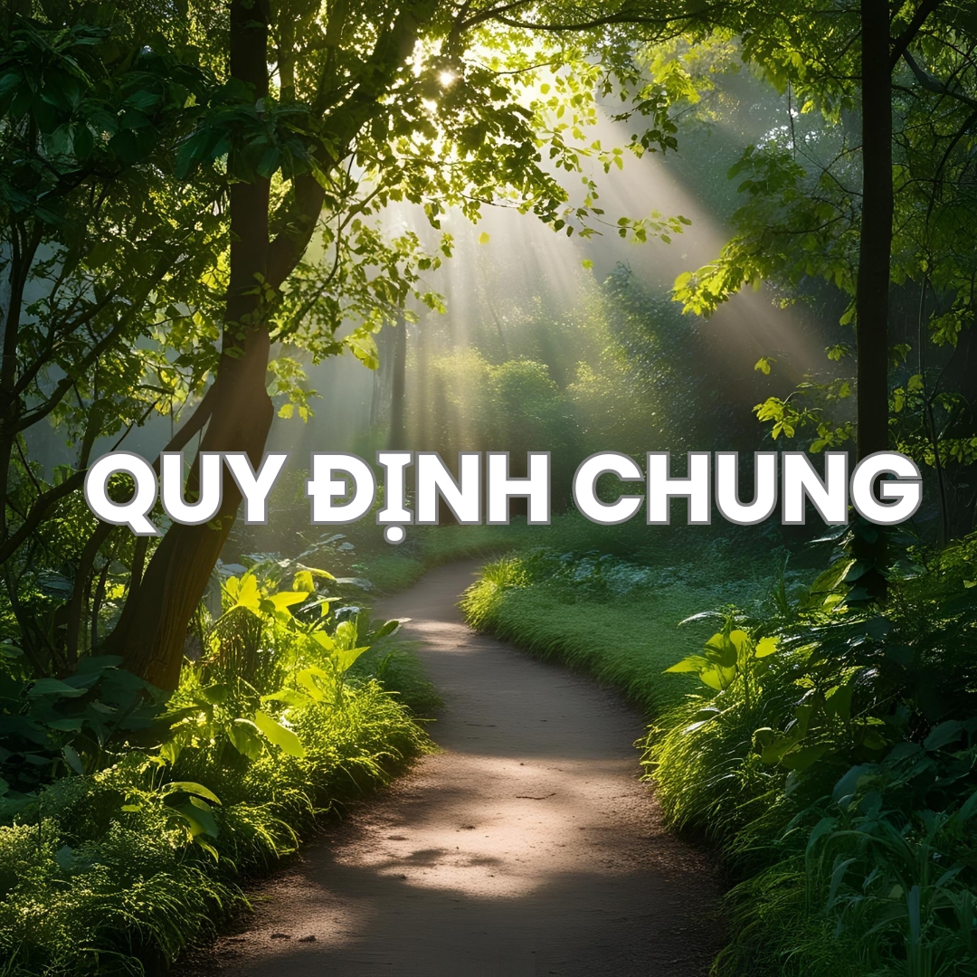 Chính Sách Và Quy Định Chung
