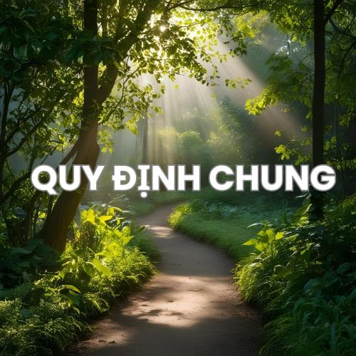 Chính Sách Và Quy Định Chung
