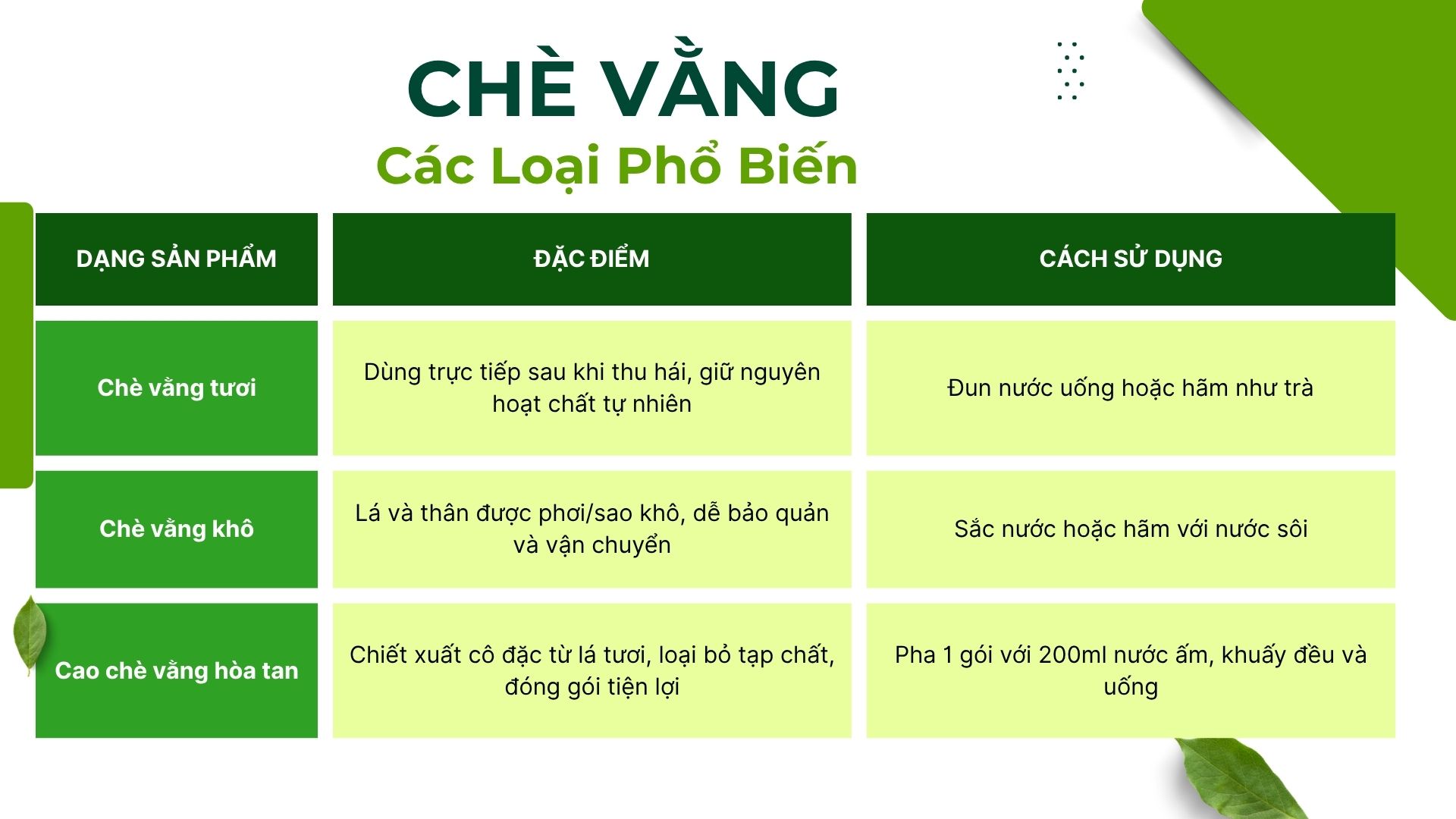 Các dạng chè vằng phổ biến hiện nay