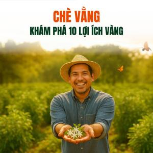 Khám Phá 10 Lợi Ích Vàng Cho Sức Khỏe Của Chè Vằng