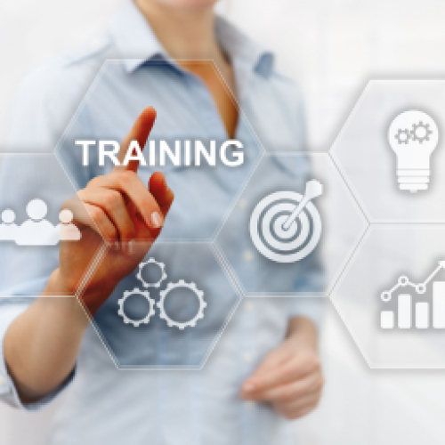 Đào tạo - Bồi dưỡng