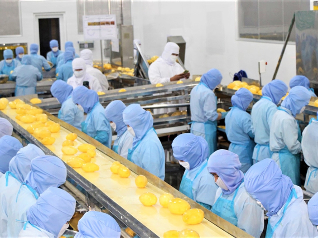 Social Responsibility