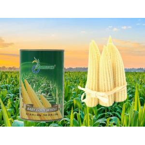 ANTESCO Canned Baby Corn In Brine 425g - Premium Vietnam