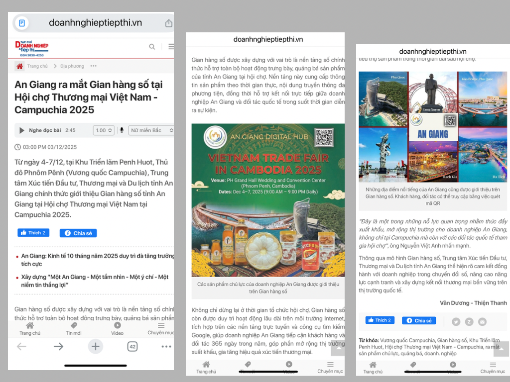 Source: Vietnam E-Business Magazine