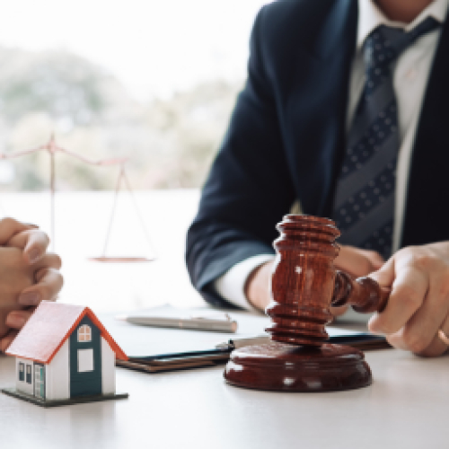 Dự án – Đấu thầu