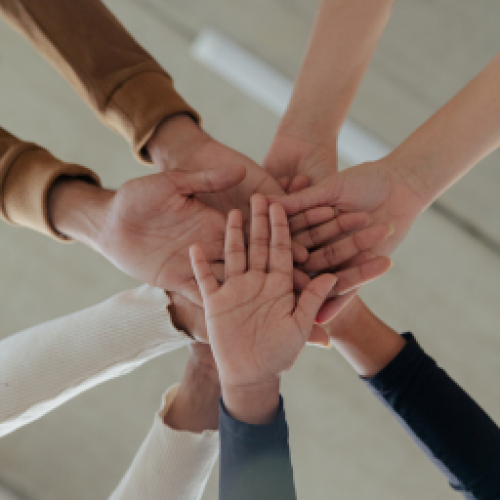 Hỗ trợ doanh nghiệp