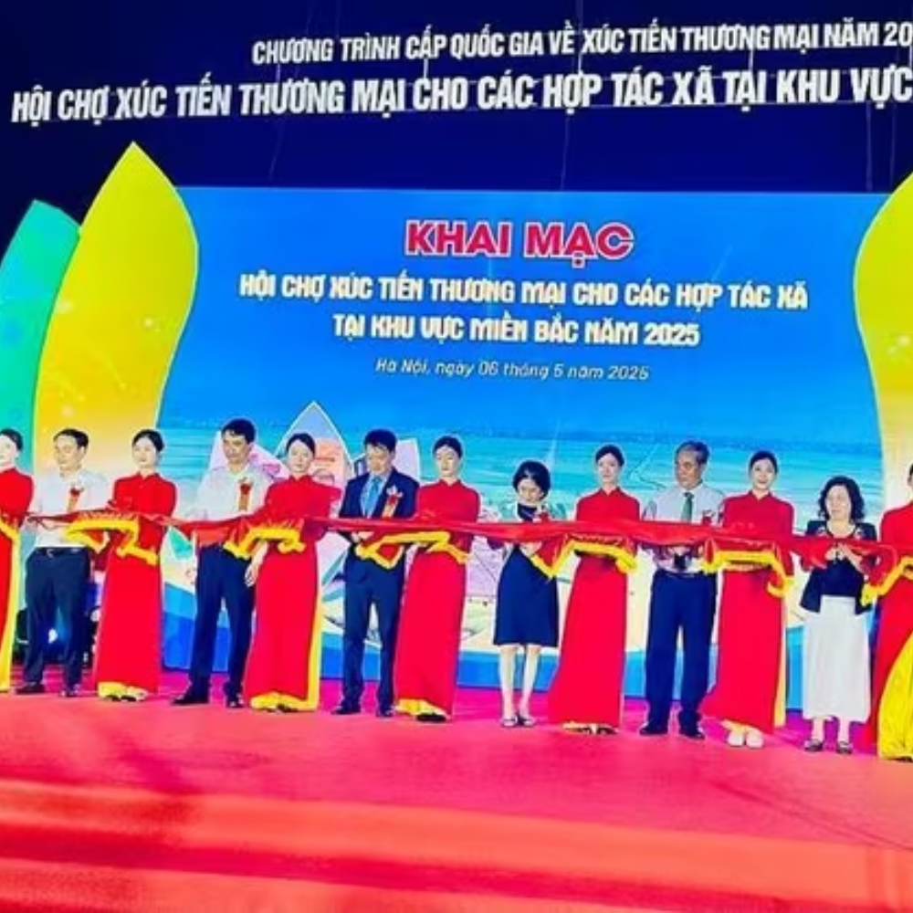Hội Chợ Xúc Tiến Thương Mại Hợp Tác Xã Miền Nam 2025 Mở Rộng Kết Nối Giao Thương
