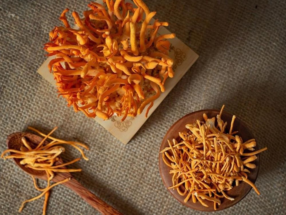 Đông trùng hạ thảo là gì?