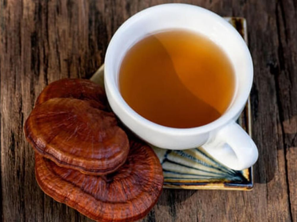 Đặc điểm của nấm linh chi