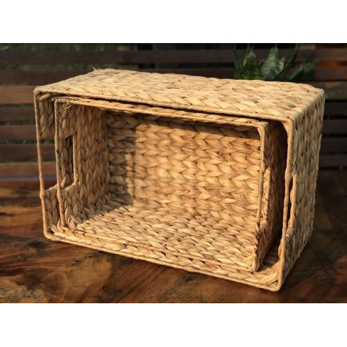 Combo 2 Khay Lục Bình Có Quai Cầm