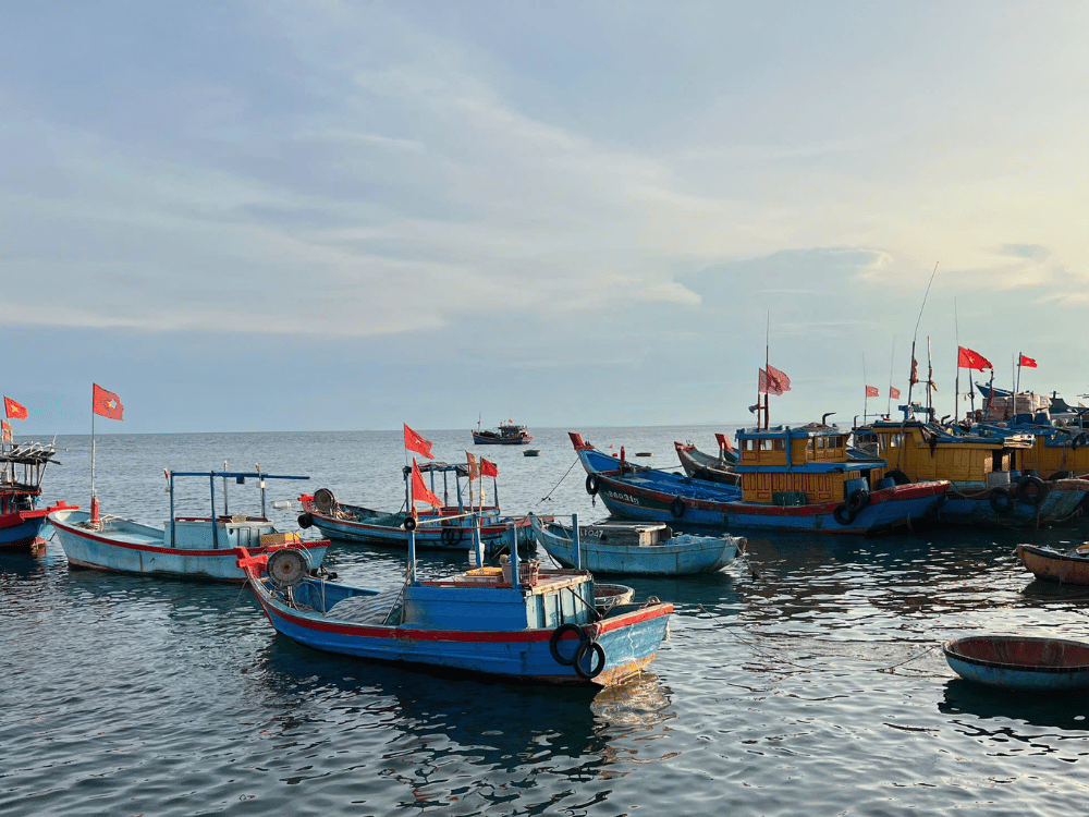 Nội dung chi tiết