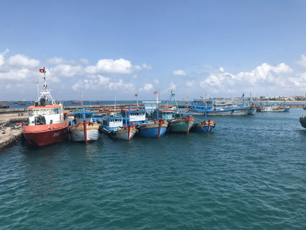 Thời điểm lý tưởng để ghé thăm