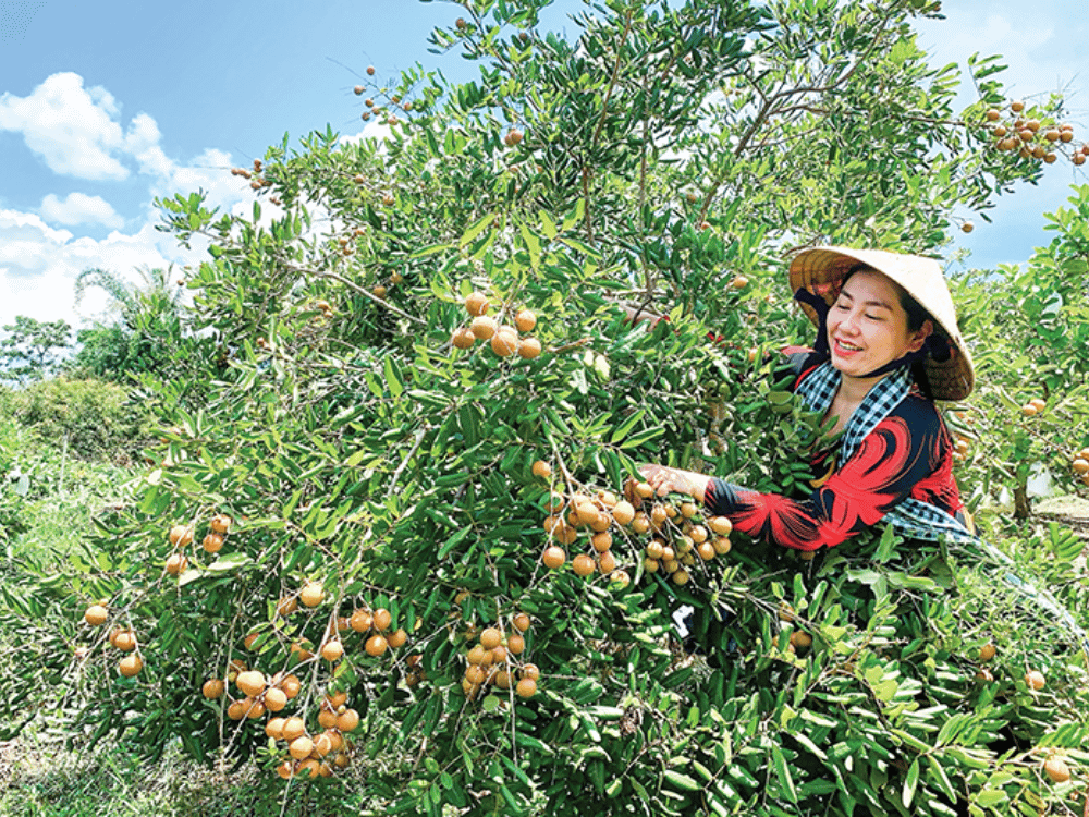 Thời điểm lý tưởng để ghé thăm