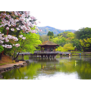 Nhật Bản 6 ngày 5 đêm vào tháng 10