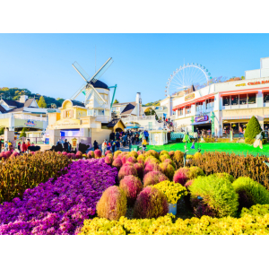 Tour Hàn Quốc 4 ngày 4 đêm