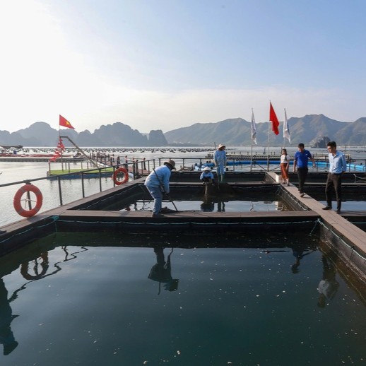 Chính Sách Sát Thực Tiễn Để Thu Hút Đầu Tư Vào Nông Nghiệp