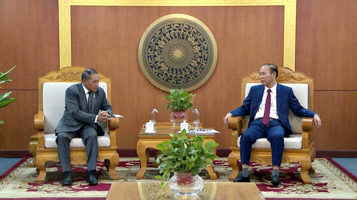 Việt Nam - Solomon mở rộng hợp tác nghề cá, bảo vệ môi trường biển