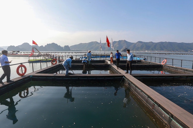 Cần tư duy đổi mới