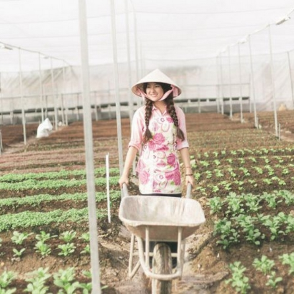 Khởi Nghiệp Bằng Nghề Nông: Nên Bắt Đầu Từ Đâu?