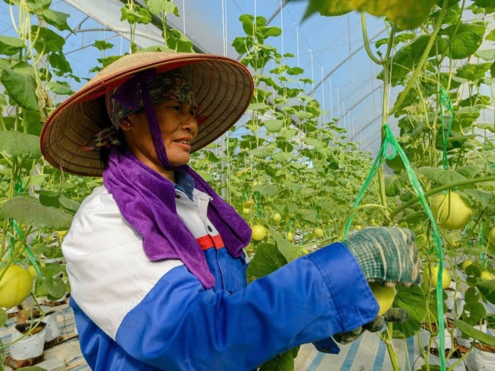 Bệ đỡ vững chắc từ cải cách và mở cửa