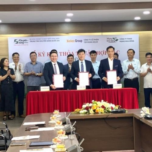 Thúc Đẩy Chuyển Đổi Số Trong Ngành Nông Nghiệp Và PTNT, Hướng Tới Người Nông Dân