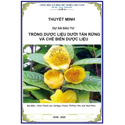 Dự Án Đầu Tư Trồng Dược Liệu Dưới Tán Rừng Và Chế Biến Dược Liệu