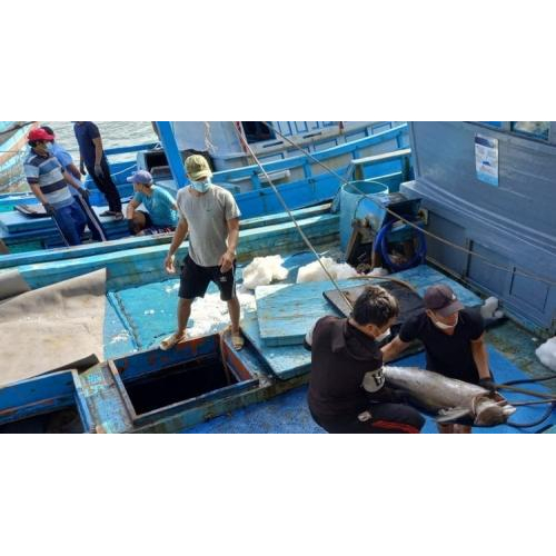 Việt Nam - Solomon mở rộng hợp tác nghề cá, bảo vệ môi trường biển